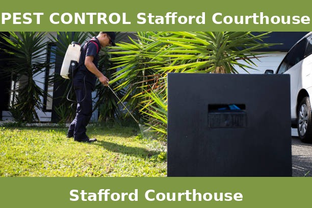 PEST CONTROL Stafford Courthouse